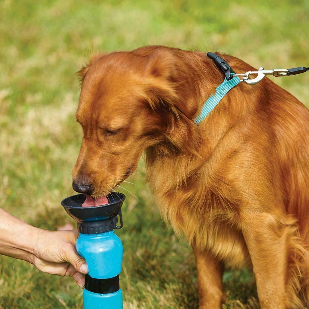 Borraccia dispencer bottiglia ciotola acqua portatile 500 ml cane gatto animali